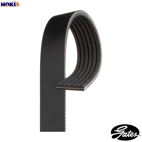 Vribbed belt 6pk2520 - belt,
