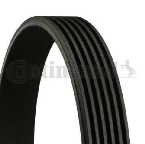 Genuine continental ctam - genuine,
