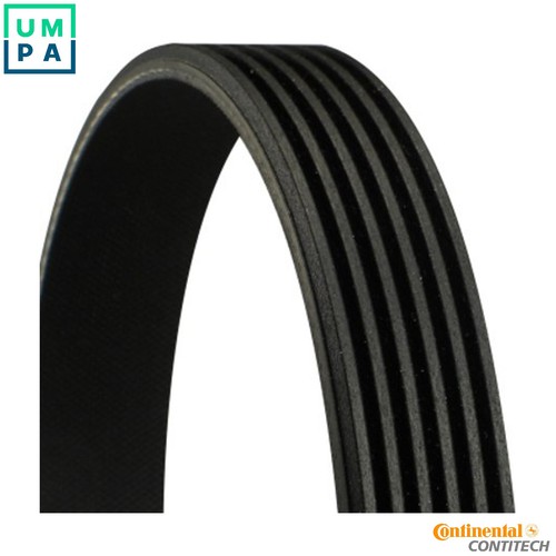 Vribbed belt 6pk2523 for - for, vw