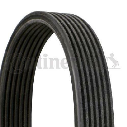 Genuine continental ctam - genuine,