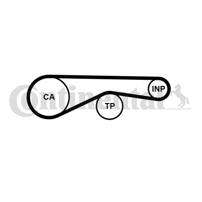 Timing belt for audi a8 - for, vw:q7,a8