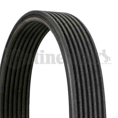 Ribbed belt for audi - audi, porsche
