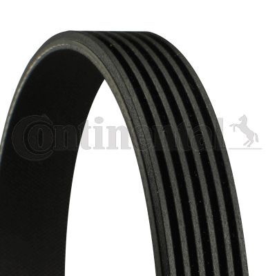 Poly belt continental - continental, ctam