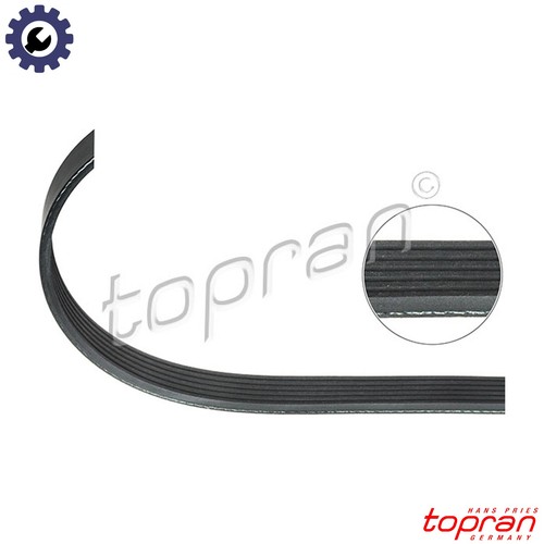Vribbed belt 114 965 - belt, for