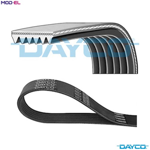 Vribbed belt 6pk2525 for - 6pk2525,