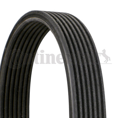Ribbed belt for - belt, porsche
