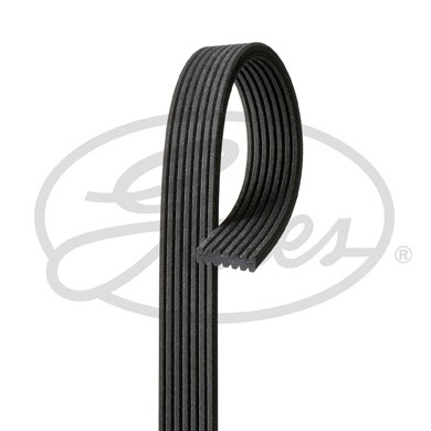 Ribbed belt for - audi, porsche