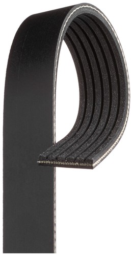 6pk2490 gates ribbed belt - v-ribbed,