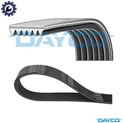 Vribbed belt 6pk2525 - vribbed, vw
