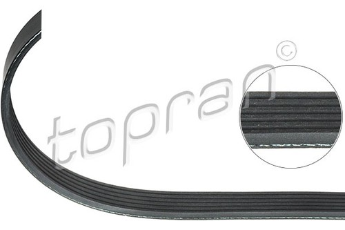 Ribbed belt for - belt,