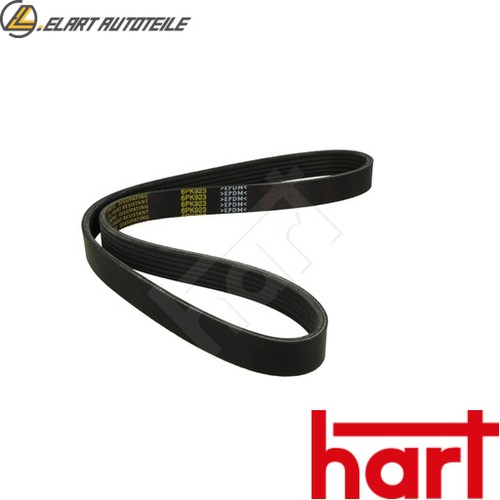 Ribbed belt 334 019 for - v-ribbed,