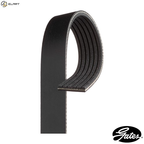 Vribbed belt 6pk2520 for - 6pk2520, vw