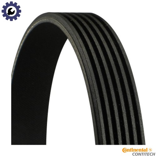 Vribbed belt 6pk2523 for - 6pk2523, vw