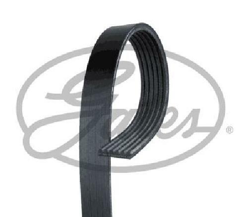 Genuine gates belt - genuine,