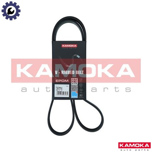 Vribbed belt 7017011 - belt, for