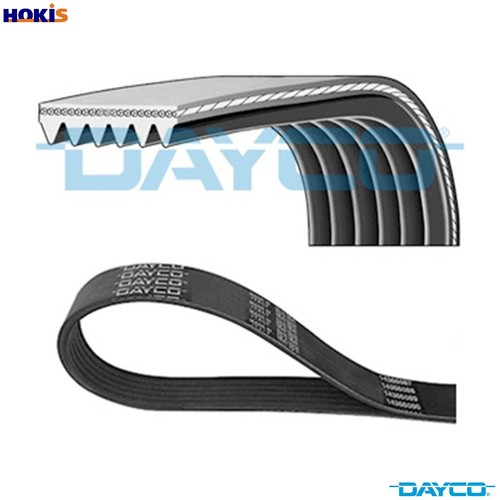 Vribbed belt 6pk2525 for - 6pk2525,
