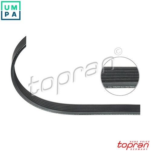 Vribbed belt 114 965 for - belt,