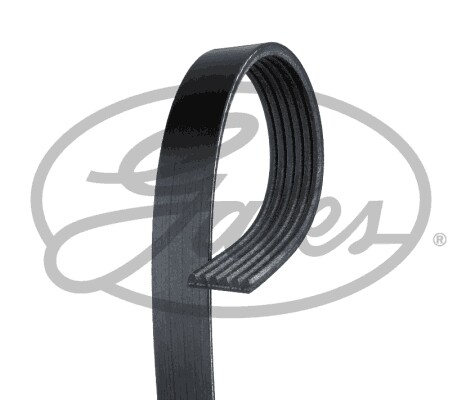 New ribbed belt - new, honda